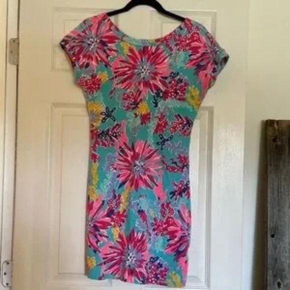 Lilly Pulitzer Other - Lilly Pulitzer Anastasia dress in Trippin n Sippin XS